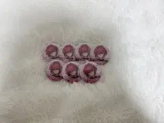 みかさくん 缶バッジ フォトカード 推し名刺 おまけ付き