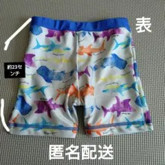 Item thumbnail for item 28695fd4-4078-46cd-b098-cf355b8bee8f