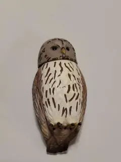 アニア　ふくろう