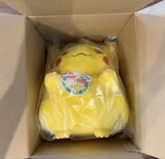 ポケモン 30周年 おかえりピカチュウ ぬいぐるみ タカラトミー