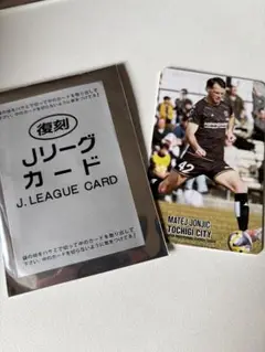 復刻Jリーグチップスカード 2025 マテイ・ヨニッチ　栃木シティ