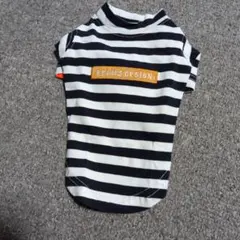 犬服 BEAMS DESIGN ボーダー柄のサムネイル