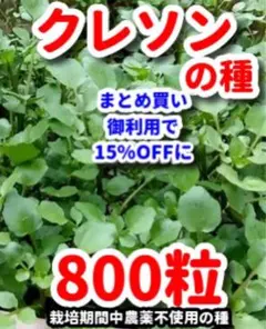 チューリップ様 リクエスト 3点 まとめ商品