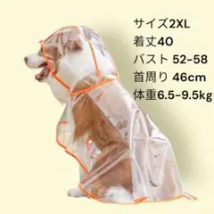 Item thumbnail for item b0d17eb4-798a-4555-9f36-59d8f8256247