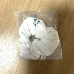 コジコジ ふわふわシュシュ コロ助のサムネイル