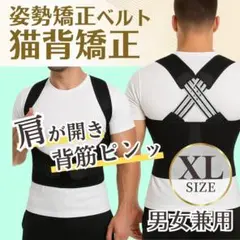 猫背矯正 姿勢サポーター 背筋ベルト 男女兼用 肩甲骨サポート 着脱簡単