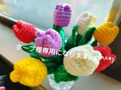 ホープ様専用ページになります。 あみぐるみ チューリップ 8本セット（1）