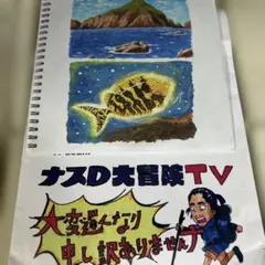 非売品　未開封　ナスD 真冬の無人島で2泊3日？0円生活　２枚組DVD