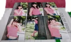 小倉優子 写真 はがきサイズ 12枚 アイドル タレント - メルカリ