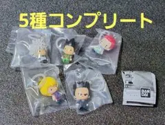 HUNTER×HUNTER　めじるしアクセサリー　5種コンプリート
