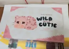 【正規品】CRYBABY Wild but Cutie シリーズ アソートBOX