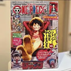 ONE PIECE magazine Vol.20 付録カードなし レア