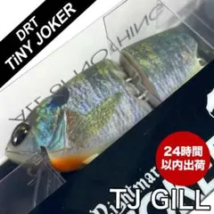 Item thumbnail for item 8b650408-bc0d-477a-bc40-7c0bbde69c16