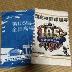 第105回全国高校野球選手権記念タオル2枚セット