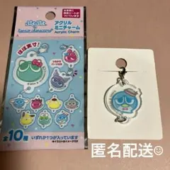 ぷよぷよ　サンリオキャラクターズ　アクリルミニチャーム