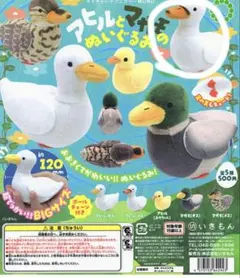 NTC MONO アヒルとマガモのぬいぐるみ アヒル（メス）