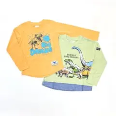 子供服 男の子 長袖Tシャツ まとめ売り 恐竜 110cm 新品 TWN98-1