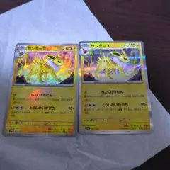 サンダース2枚セット♡