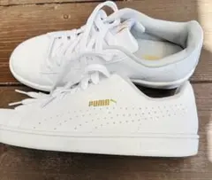 《美品》PUMA アップ パーフ 01WHITE/GOLD 24cm