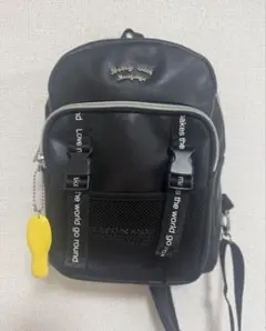 Item thumbnail for item 4e71f6fd-ca36-481c-a6dc-ee8169b665c1