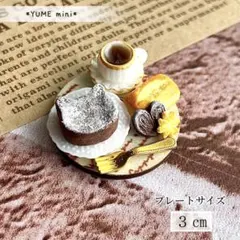 289 ＊ネコさんのガトーショコラ＊　ミニチュアスイーツ　シルバニア　インテリア