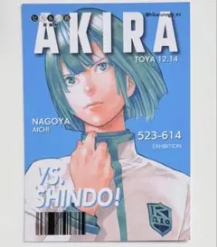ヒカルの碁 塔矢アキラ ラミネートカード ラミカ ② 2026年最新】塔矢アキラ カードの人気アイテム - メルカリ