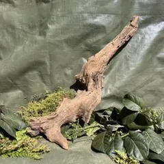 ゆってぃー♧プロフ読んでください。様 リクエスト 2点 まとめ商品