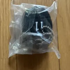 ⚠️10/15まで！もちマスミニ 宮治
