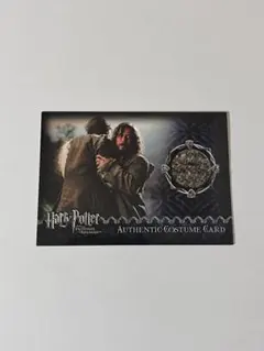 ハリーポッター artbox リーマスルーピン トレカ トレーディングカード リーマス・ルーピン artbox トレーディングカード ハリー