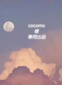 cocomo様 専用出品