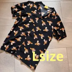 Item thumbnail for item bf70acba-e293-46c2-b9af-1492e5455c24