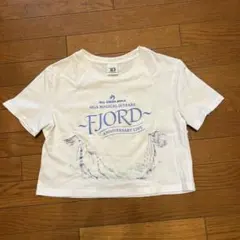 Mrs. GREEN APPLE FJORD Live Tシャツラバーバンド付き