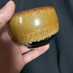 Item thumbnail for item e5ca16f6-7bf2-4ba4-856a-9f23c5defa81