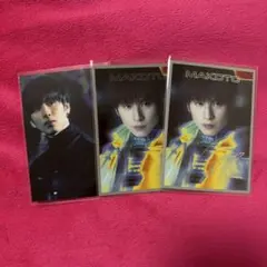 長谷川慎 フォトカ シクレ サイヘリ