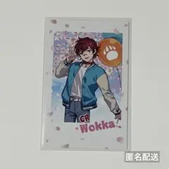 CR FES 2026 チェキ風カード うぉっか