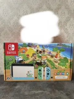 美品 Nintendo Switch あつまれどうぶつの森エディション