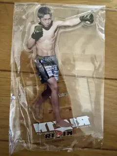 Item thumbnail for item 0b315300-5a24-4ba6-a696-092bd6383fb4