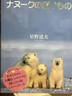 星野道夫 まとめ売り 2021年、没後25年を迎える写真家・星野道夫を大特集『Coyote No