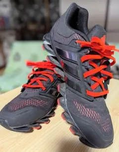 Reebok ZIGLITE ジグライト グレー レッド 26センチ - メルカリ