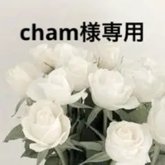 cham様専用出品