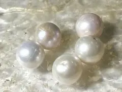 天珠真珠 パール ペンダントトップ用穴あり 5個セット