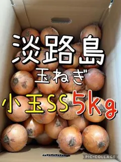 淡路島 玉ねぎ 小玉 SS 5キロ 送料込み！のサムネイル