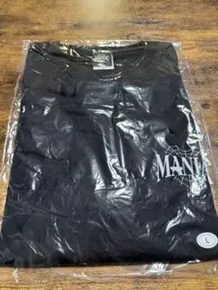 Stray Kids MANIAC ロンT Lサイズ