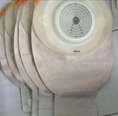 Item thumbnail for item 67c35c7c-5c48-41ed-9a05-d3de8d83b42e