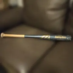 Item thumbnail for item bcbe3117-8713-42d6-8186-48265167ee24