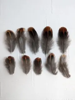 【ソワカ】古瓶・アンティーク様 リクエスト 3点 まとめ商品