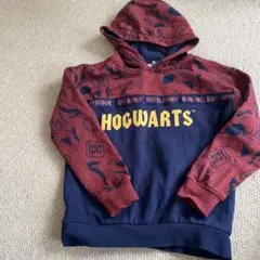 Item thumbnail for item 30170607-56c3-4002-b832-95c50d6f5f89