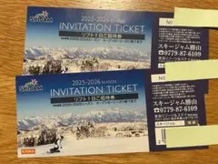 スキージャム勝山　リフト券　1日券
