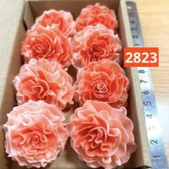 ソラフラワー用ソラシート 幅11cm 20g - メルカリ
