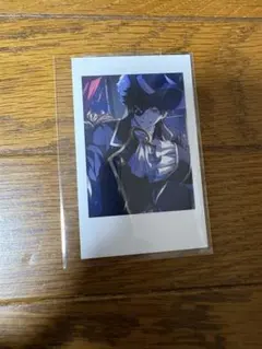 CR CrazyRaccoon SELFIE CARD Mondo セルフィー